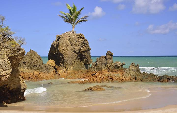 Praia de Tambaba - Paraíba - 10 praias do Nordeste para passar a lua de mel 